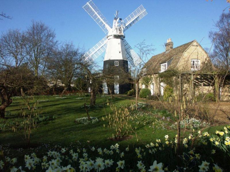 The Windmill